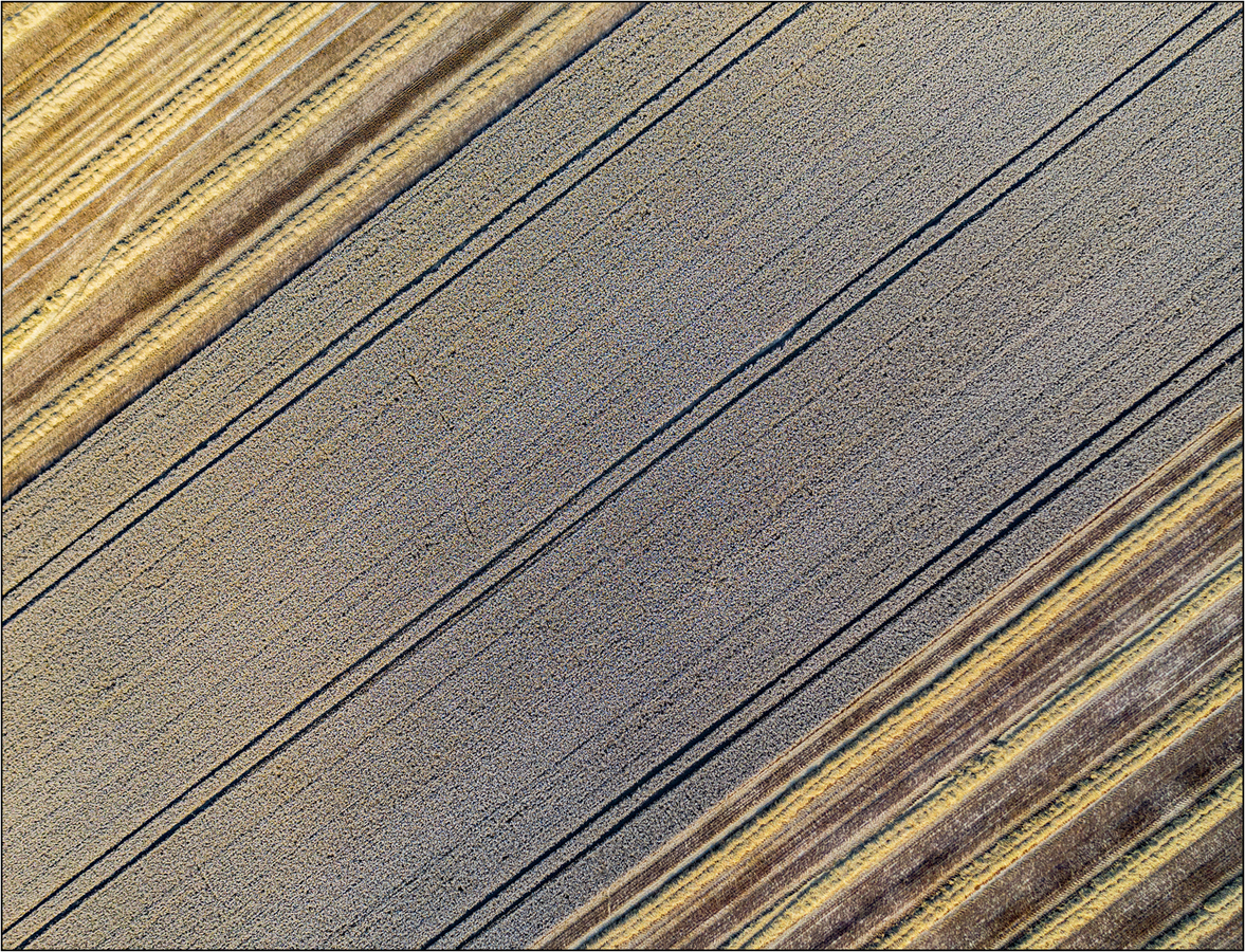 Harvest Time - Mark Rivers jpg